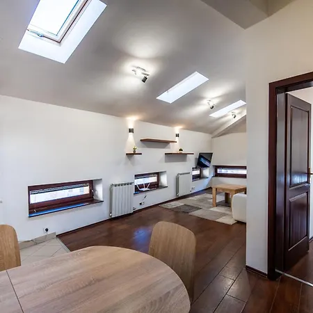 Vijecnica Loft 公寓 *