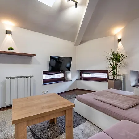 公寓 Vijecnica Loft *