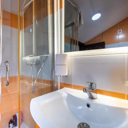 Vijecnica Loft 公寓 *